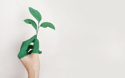 Cidades e o Desafio da Sustentabilidade