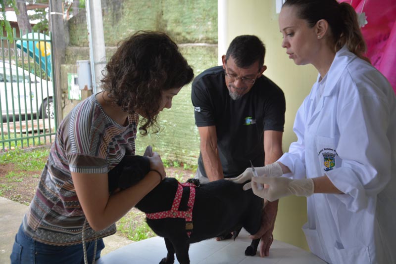 No sábado tem vacinação gratuita para cães e gatos no bairro Alto Tarumã 1 vacinacao raiva pinhais