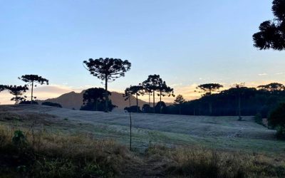Paraná tem cinco alertas de fenômenos no tempo: Temporal, vendaval e queda de temperatura