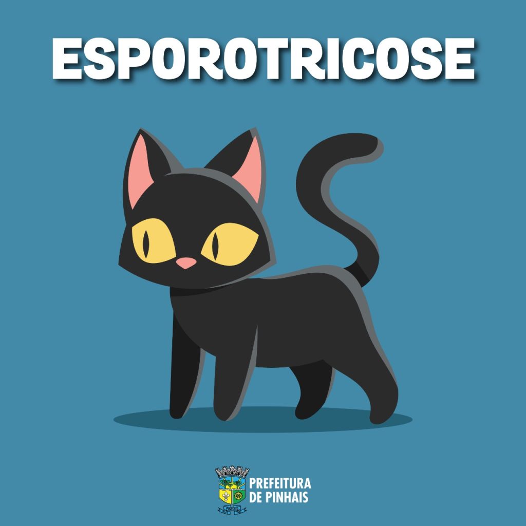 Aumentam casos de doença causada por fungo em animais em Pinhais 1 esporotricose pinhais