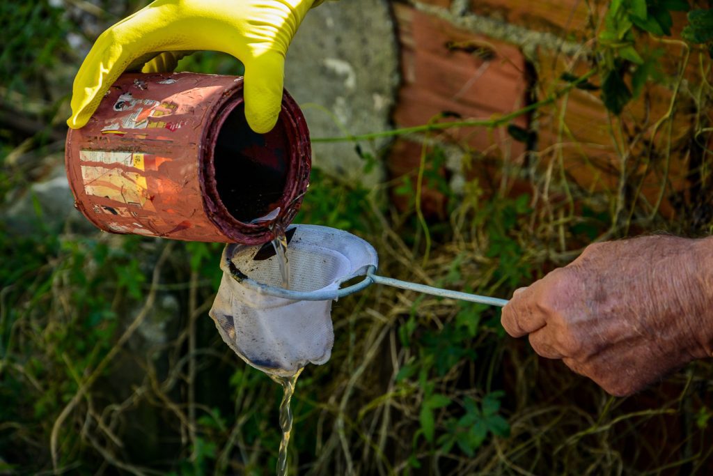Prefeitura de Pinhais atua em diversas modalidades para a prevenção e controle da dengue 1 Imagem de foco de dengue
