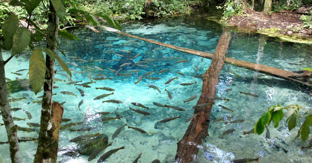 8 melhores destinos para conhecer a região Centro-Oeste do Brasil 5 nobres bom jardim mato grosso capa2019 01
