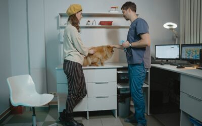 5 dicas para gerenciar uma clínica veterinária de sucesso