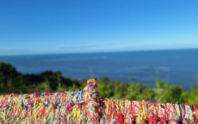 20 Destinos para o Nordeste saindo de Curitiba: Previsões de Valores e Principais Pontos Turísticos