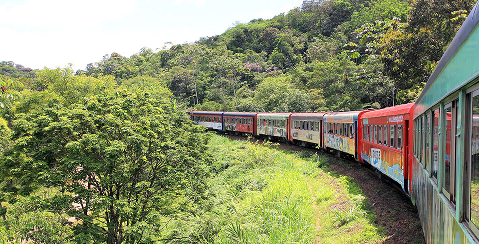 Pinhais, embarque em uma aventura pela metade do preço com a Serra Verde Express! 3 pacote morretes 5
