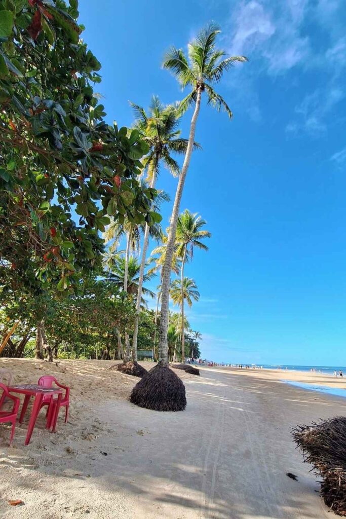 O que fazer em Porto Seguro e Arraial d'Ajuda? Roteiro completo para sua viagem 6 Praia dos Coqueiros - Trancoso - Foto: Moacir Eduardo